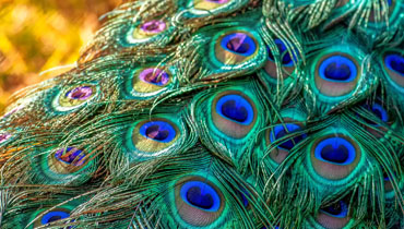 <span>Atesanía </span>Belleza & estilo